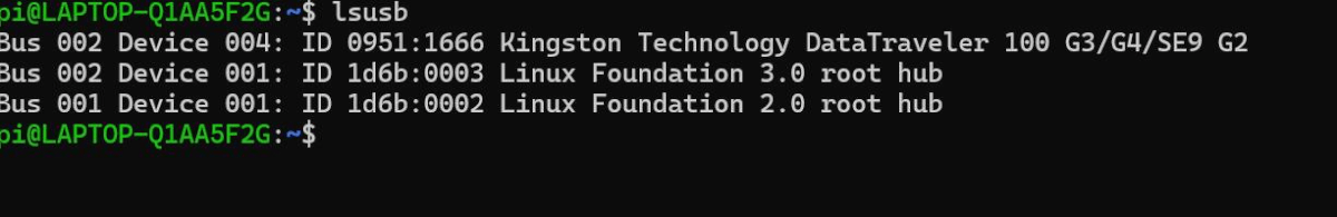image-20251118024700283